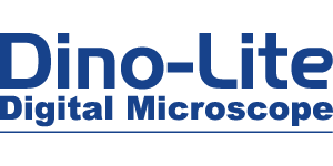dino lite